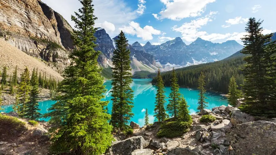 科技可靠性